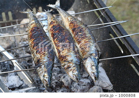 秋刀魚 串焼き 炭火 バーベキューの写真素材