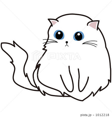 ペルシャ猫 猫 白猫 青い目の写真素材