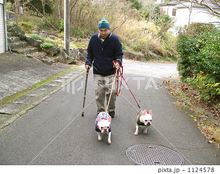 シニア 散歩 老人と犬 フレンチブルドッグの写真素材