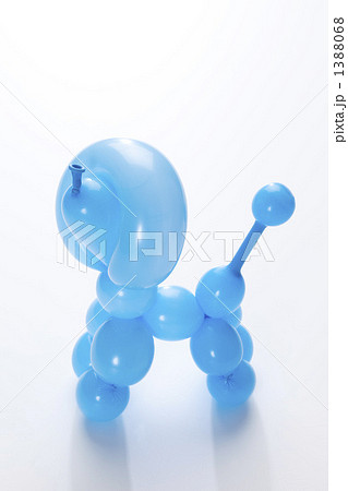犬 風船 プードル バルーンアートの写真素材