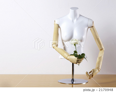 トルソー 上半身 マネキン 木天板の写真素材