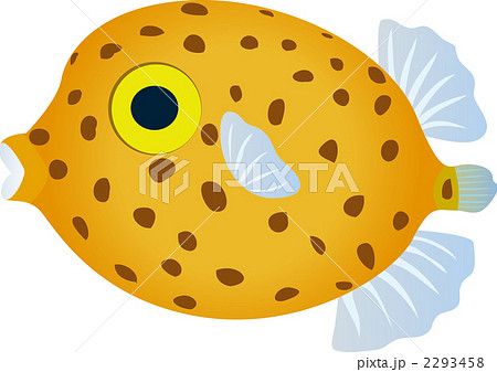 ハコフグのイラスト素材