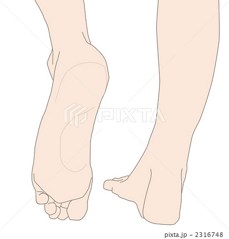 足裏のイラスト素材