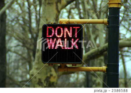 赤信号 信号機 北アメリカ ニューヨークの写真素材