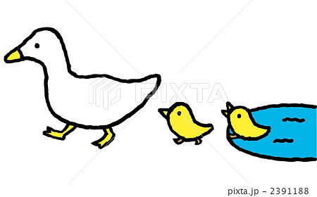 アヒル 親子 イラスト かわいいの写真素材