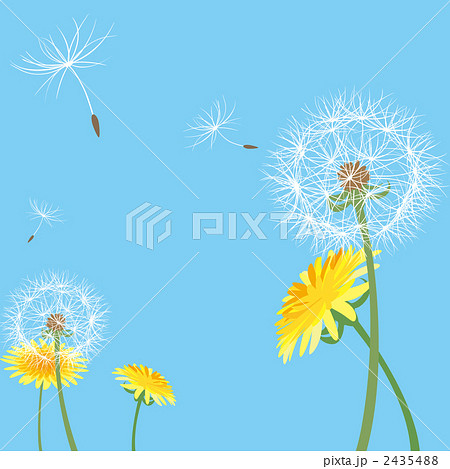 綿帽子のイラスト素材