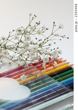 色鉛筆 かすみ草 文房具 画材の写真素材 色鉛筆 かすみ草 文房具 画材の写真素材