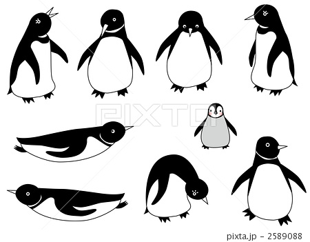 ペンギン イラスト モノクロ シンプル 子供のイラスト素材 Pixta