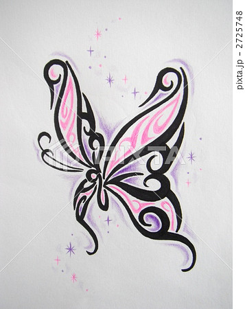 バタフライ 蝶 トライバル イラストの写真素材