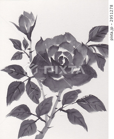 薔薇 墨絵 水墨 花の写真素材