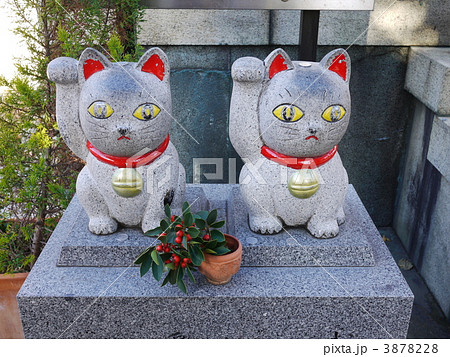 今戸神社なで猫の写真素材