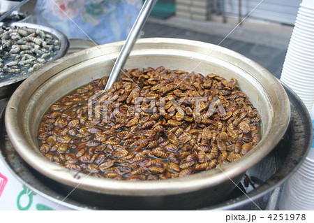ポンテギ 韓国の写真素材 ポンテギ 韓国の写真素材