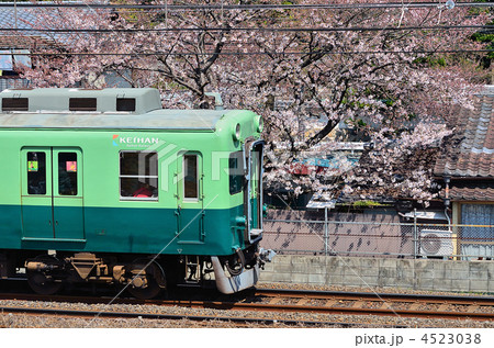 桜 京阪電車 宇治線 鉄道の写真素材