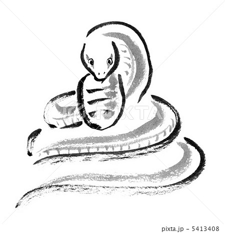 白蛇 巳 ヘビ 蛇のイラスト素材