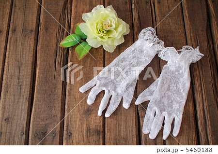 総レース 手袋の写真素材 総レース 手袋の写真素材