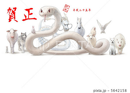 十二支 干支 リアル 白蛇のイラスト素材