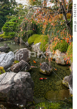 錦鏡池の写真素材 - PIXTA