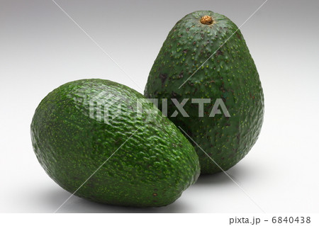 ワニナシ属の写真素材