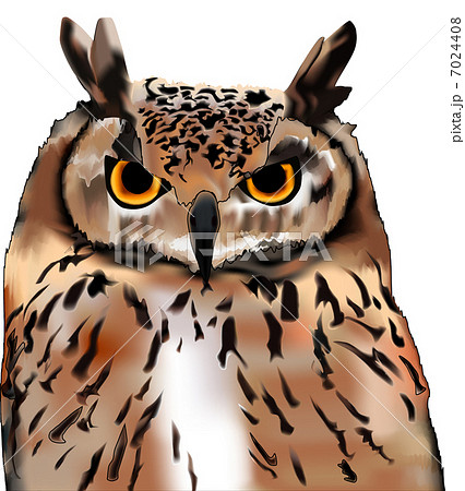 ミミズクのイラスト素材