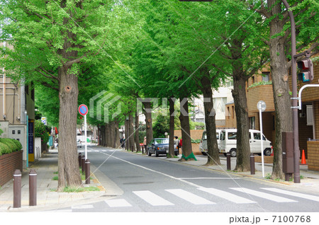 成城学園 高級住宅街の写真素材