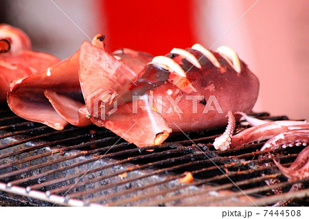 イカのぽっぽ焼きの写真素材