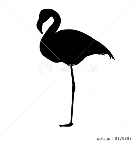 影 シルエット フラミンゴ モノクロのイラスト素材 Pixta