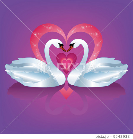 白鳥 白い鳥 二羽の鳥のイラスト素材 - PIXTA