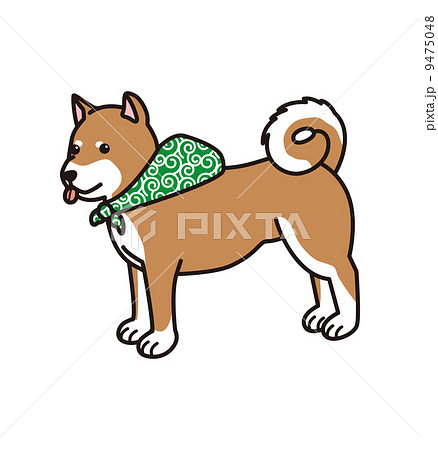 犬 風呂敷 柴犬 豆柴 動物のイラスト素材