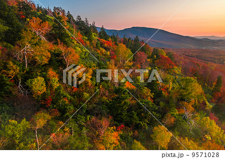 山 紅葉 夕焼け 斜面の写真素材