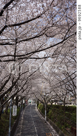 福山雅治の写真素材