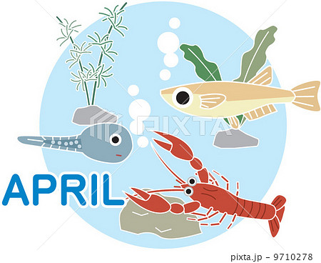 めだか 水草のイラスト素材