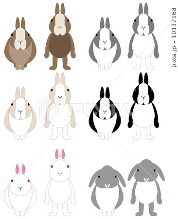 ウサギ ロップイヤー 白ウサギ ネザーランドドワーフのイラスト素材