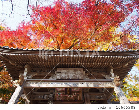 富貴寺 紅葉の写真素材