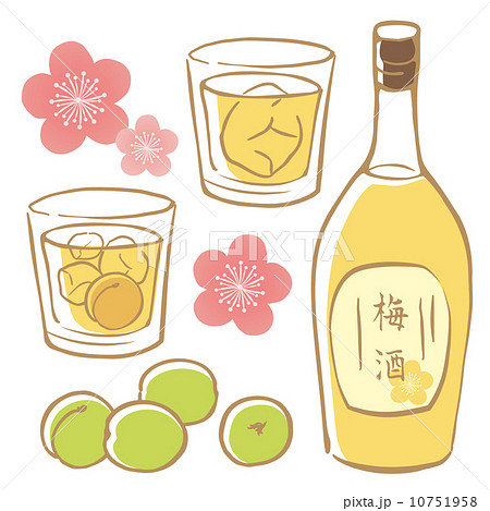 梅酒のイラスト素材