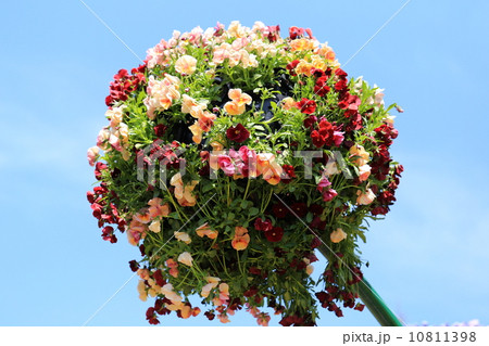 花のオブジェの写真素材