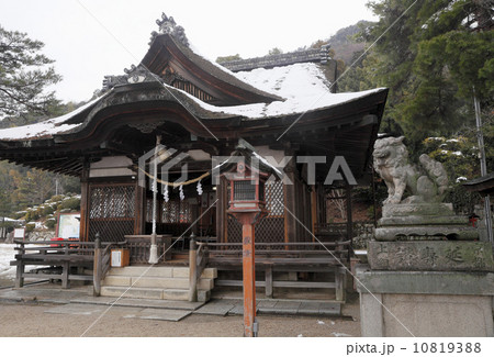 冬天冬白须神社一月冬天景色照片素材