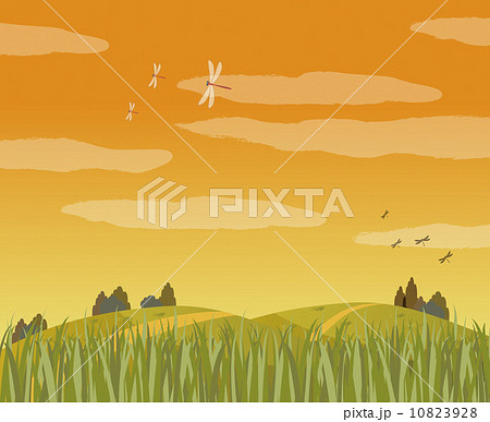 夕焼け 道 秋 綺麗のイラスト素材