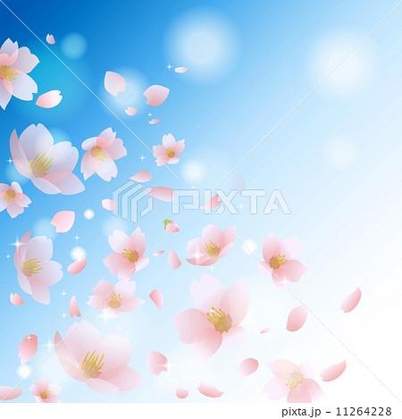 舞い散る 桜 花 誕生日の写真素材 Pixta