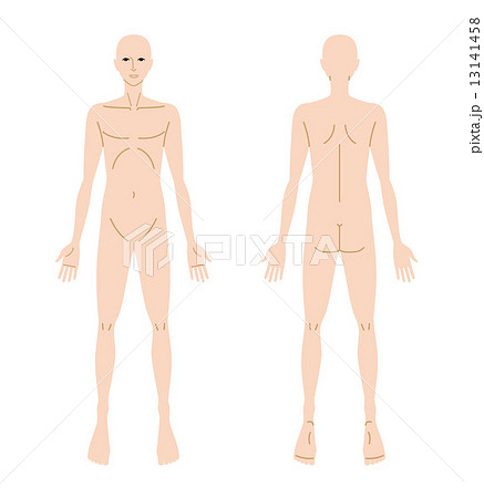 人体図のイラスト素材