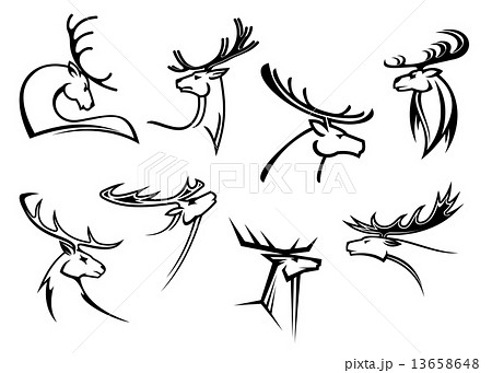 鹿 横顔 牡鹿 動物のイラスト素材