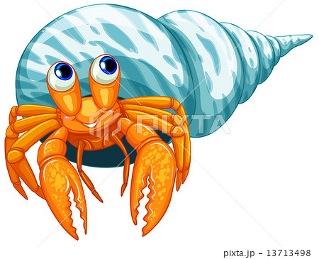 Hermit Crabのイラスト素材 13713498 Pixta
