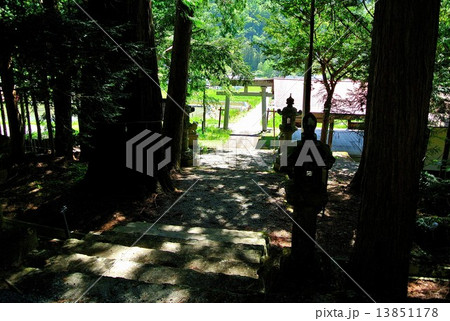 神社 郷愁 夏 故郷の写真素材