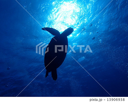 シルエット 与論島 綺麗 青の写真素材