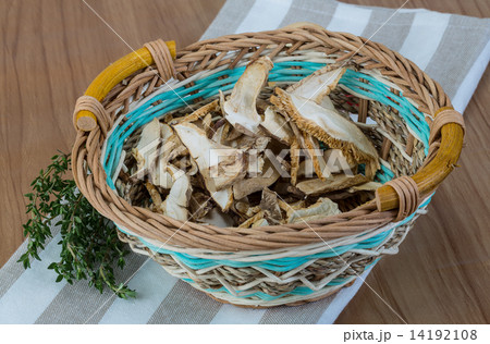 Shiitake - Stock Photo [14192108] - PIXTA