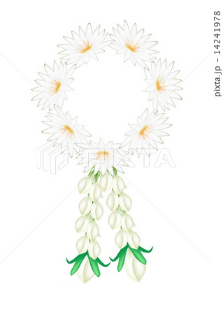 花輪 ガーランド 花冠 茉莉花のイラスト素材