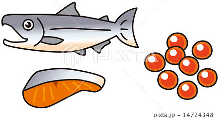 シャケ 切り身 鮭 鮮魚のイラスト素材