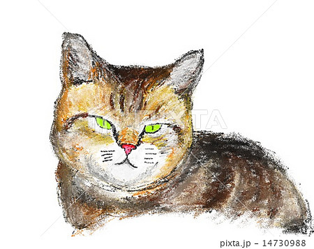 顔 猫 クレヨン 生き物のイラスト素材