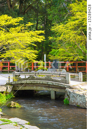 木の橋 小川の写真素材 - PIXTA