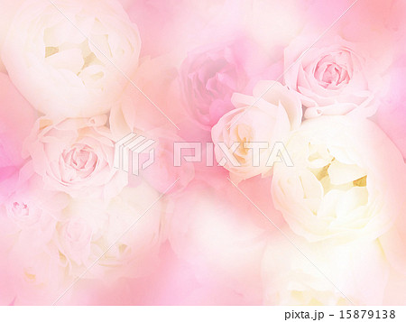 背景 花 バラ ナチュラルのイラスト素材