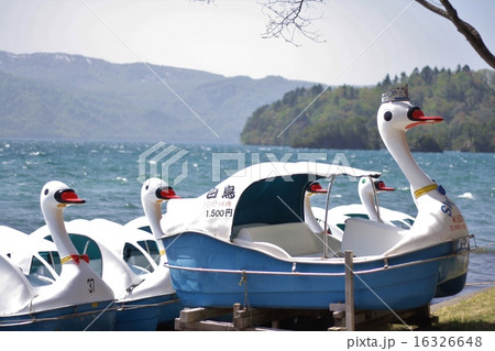 スワンボート ペダルボート 十和田八幡平国立公園 十和田湖の写真素材 - PIXTA